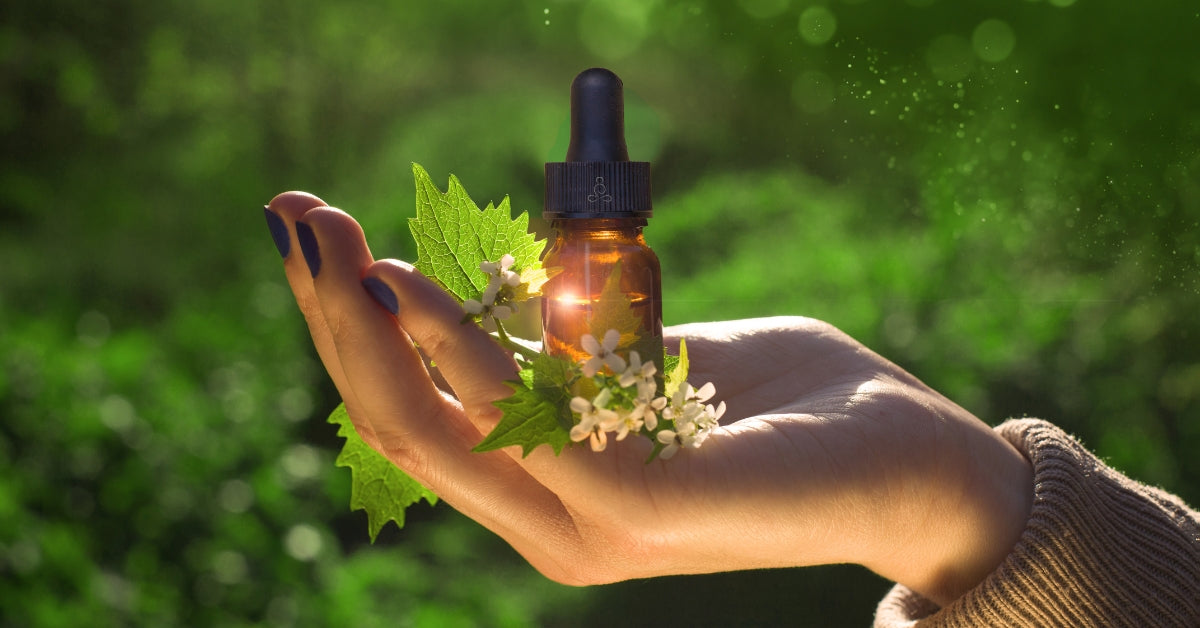 Hand hält Fläschchen mit ätherischen Ölen.