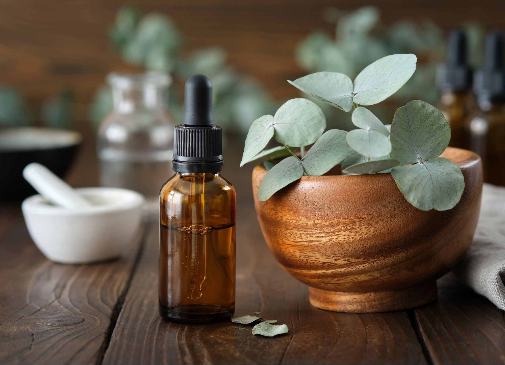 Eukalyptus Ätherische Öle